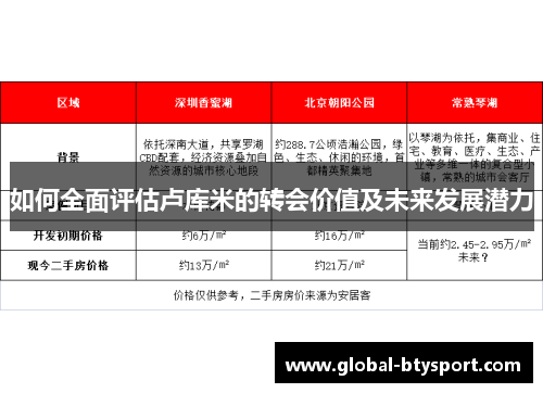 如何全面评估卢库米的转会价值及未来发展潜力