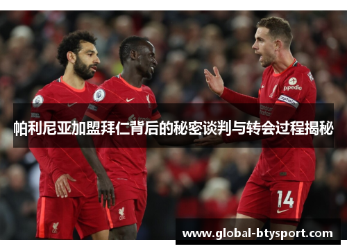 帕利尼亚加盟拜仁背后的秘密谈判与转会过程揭秘