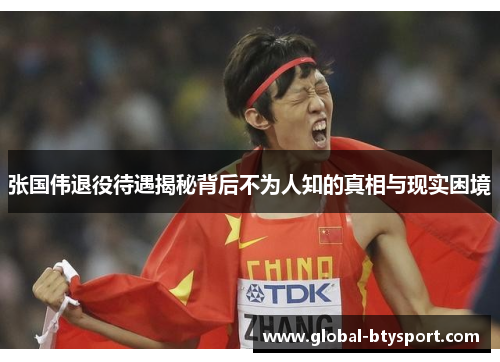 张国伟退役待遇揭秘背后不为人知的真相与现实困境