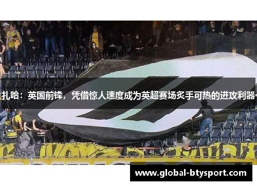 扎哈:英国前锋,凭借惊人速度成为英超赛场炙手可热的进攻利器 扎哈:英国前锋,凭借惊人速度成为英超赛场炙手可热的进攻利器