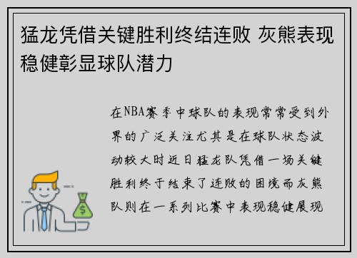 猛龙凭借关键胜利终结连败 灰熊表现稳健彰显球队潜力